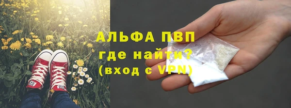 молекула духа Алексин