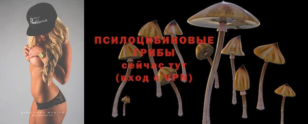 Альфа ПВП Семикаракорск